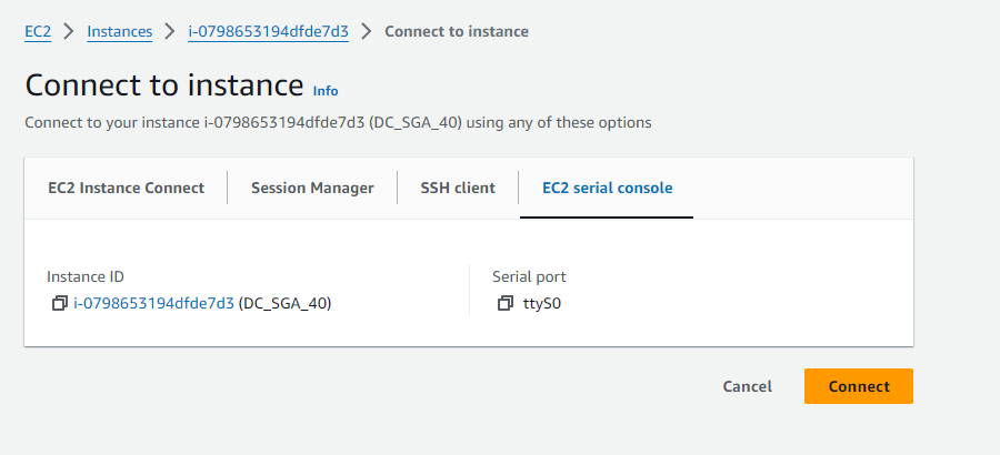 SGA VM Console Access - AWS